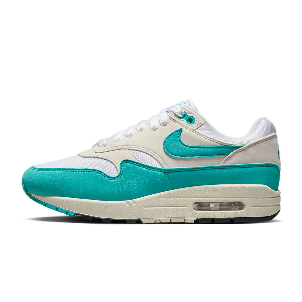 Nike Air Max 1 'Dusty Cactus'